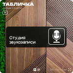 Табличка Студия звукозаписи, 30х10 см, для офиса, кафе, магазина, паркинга, серия COSMO, Айдентика Технолоджи