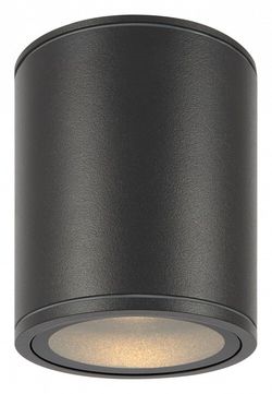 Накладной светильник Maytoni Bar O306CL-L12GF