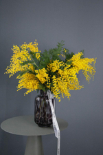 Монобукет Мимоза