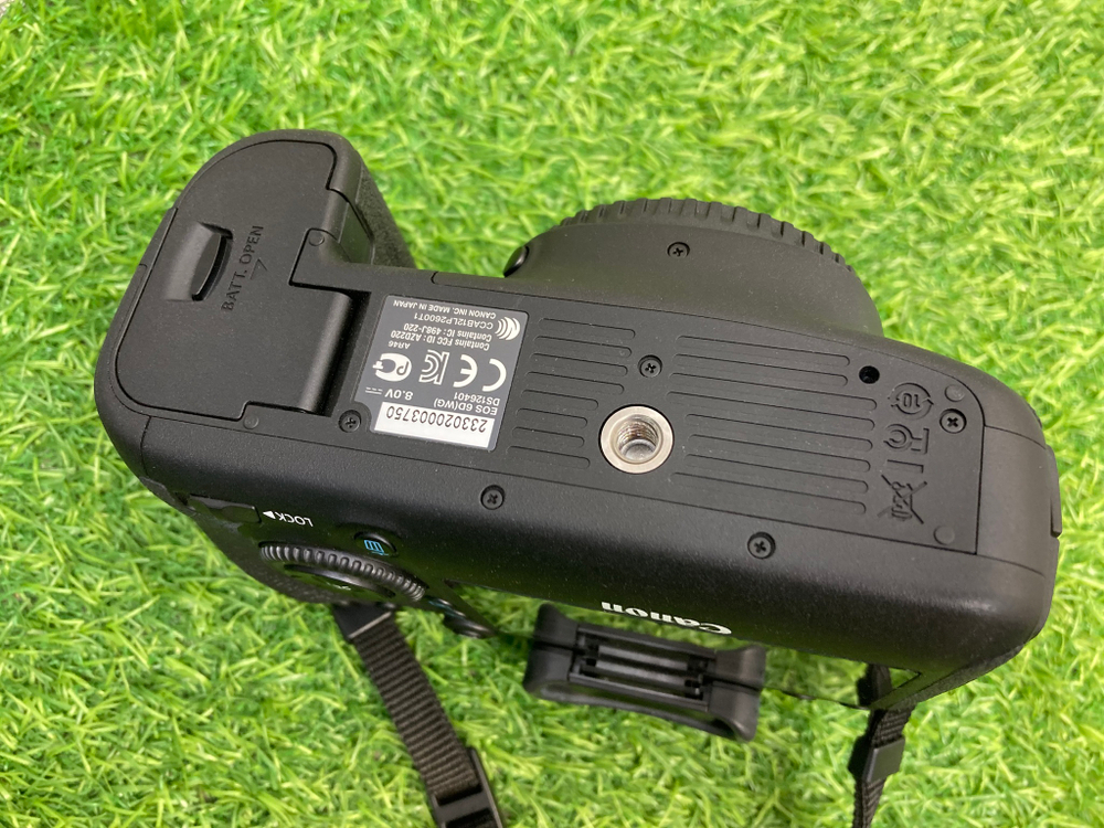 Canon EOS 6D 450 кадров