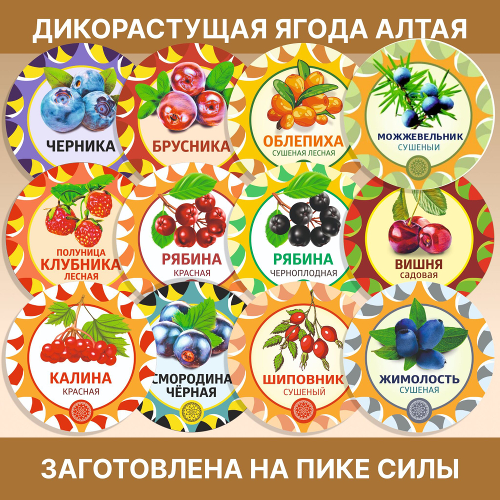 Лимонник лоза спираль.