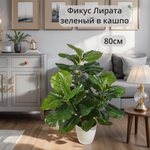 Искусственное растение Фикус Лирата зеленый в кашпо