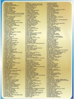 Лучшие хиты от MTV 24 (КЛИПЫ на DVD)