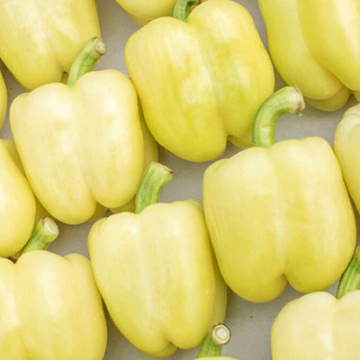 Бурабелла F1 семена перца сладкого (Rijk Zwaan / Райк Цваан)