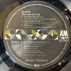 Винтажная виниловая пластинка LP Black Wonderful Life (Германия 1987)