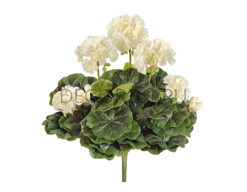 Герань кремовая в-30 см 6/96 20.1089CR