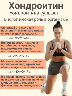 Хондроитин сульфат МилоБио 100 гр