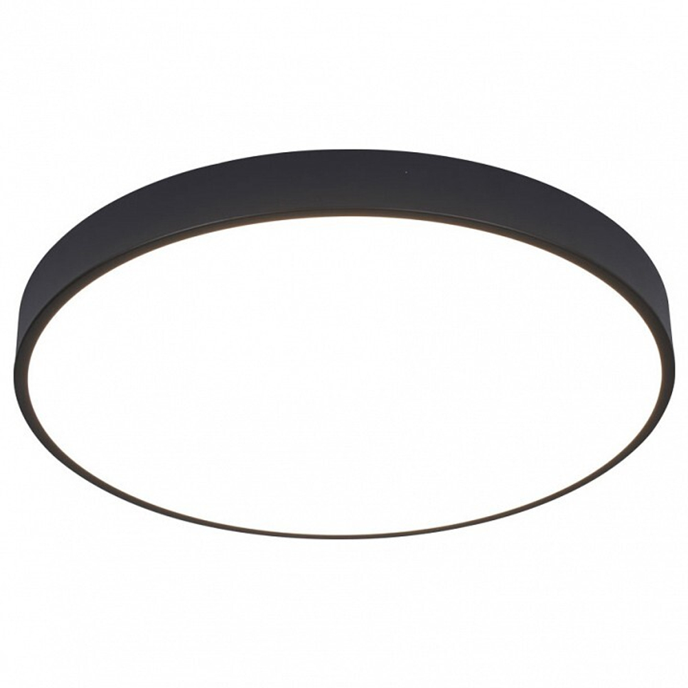 Накладной светильник Arte Lamp Arena A2672PL-1BK