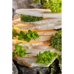 Подвесная люстра Divinare ELEANOR 1713/17 SP-100