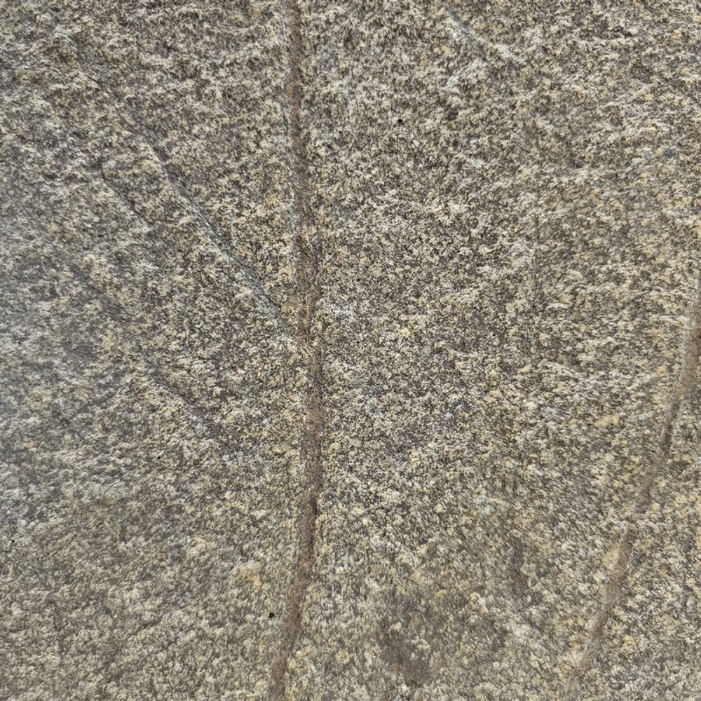 Каменный шпон Slate Light Rainforest Brown 1220х2440мм