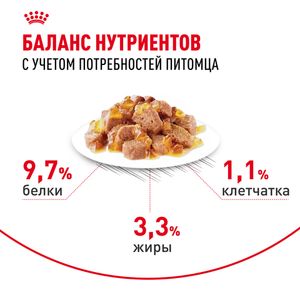Пауч Royal Canin Indoor Sterilised для взрослых кастрированных и стерилизованных кошек, живущих в помещении, кусочки в желе