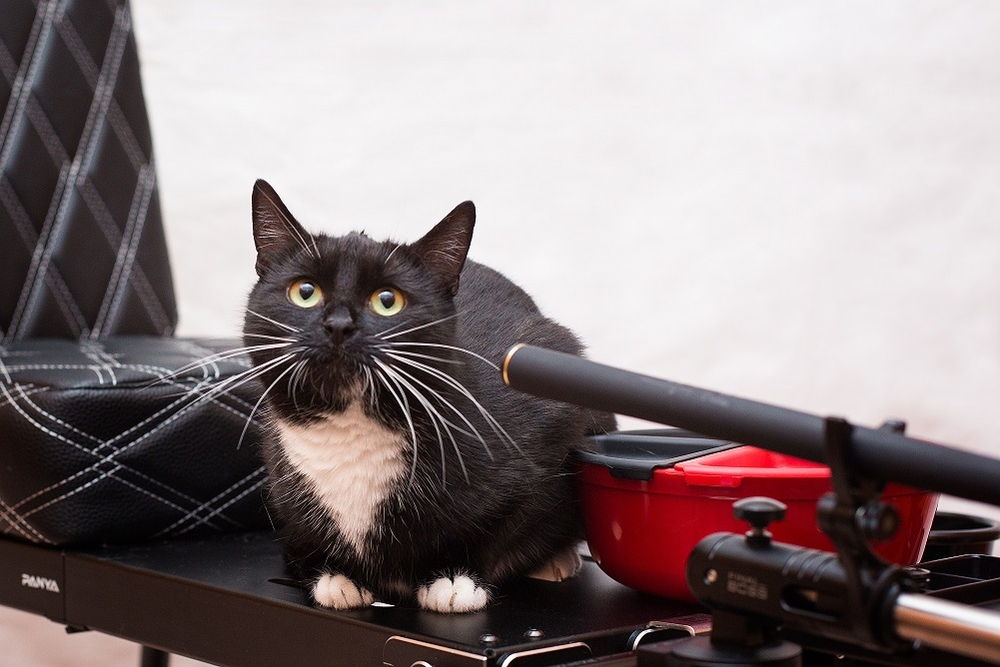 Набор мисок для замешивания теста SENSE