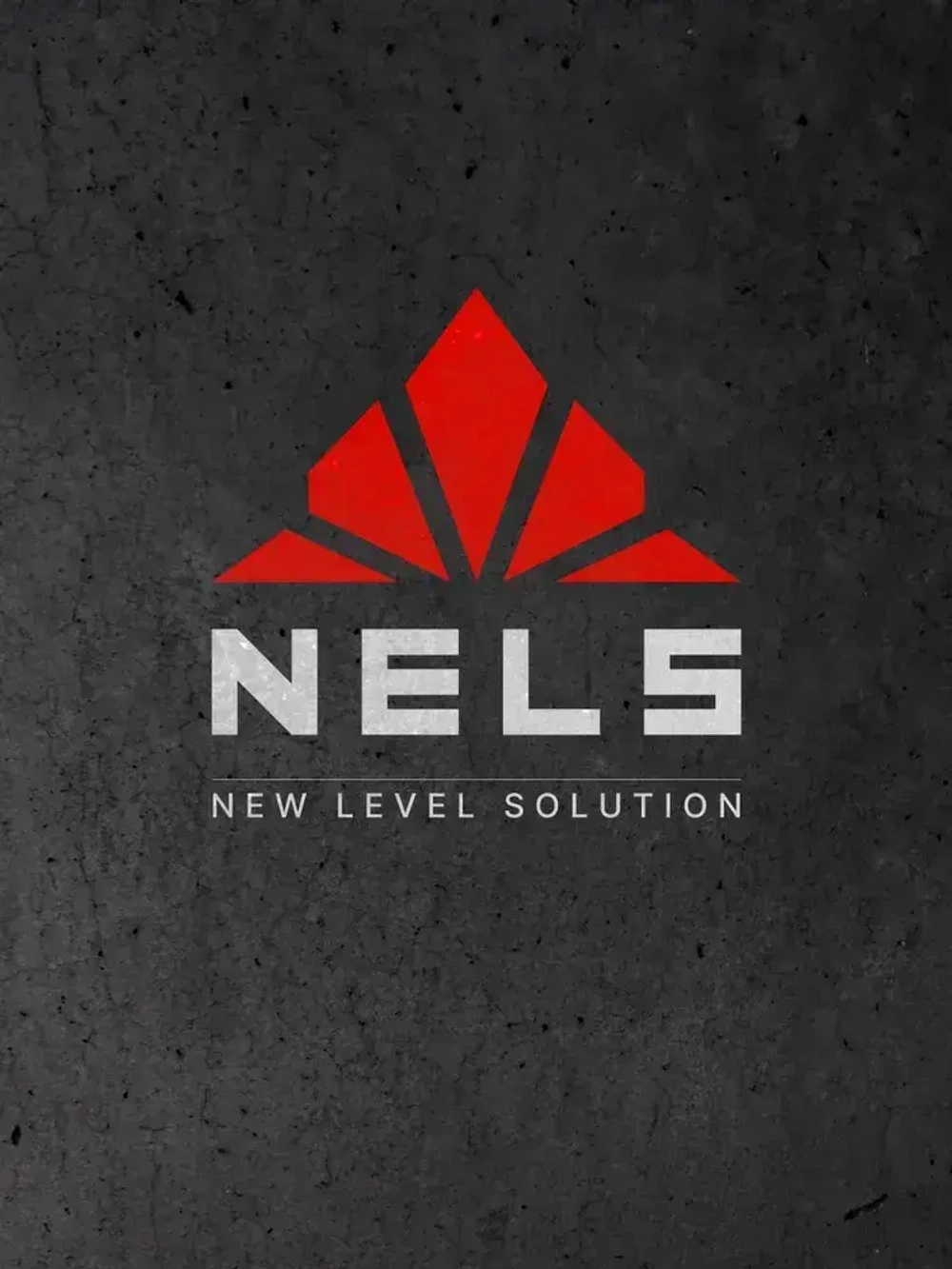 Отбеливатель для древесины NELS WHITE LIGHT / отбеливающий антисептик для внутренних и наружных работ / готовый состав / 5 л