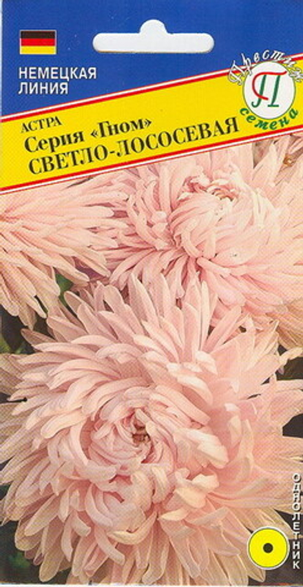 Астра Гном Св-лососевая кит Престиж