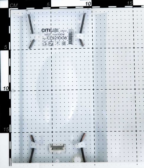 Настенный светильник Citilux Осень CL921008