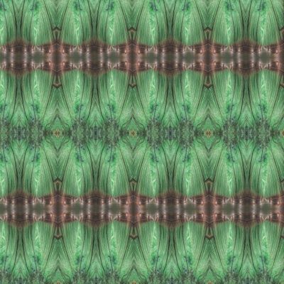 Зеленые лабиринты.