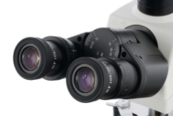 Микроскоп цифровой Levenhuk MED D40T LCD, тринокулярный - фото 7