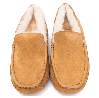 Ugg Mens Ascot Chestnut