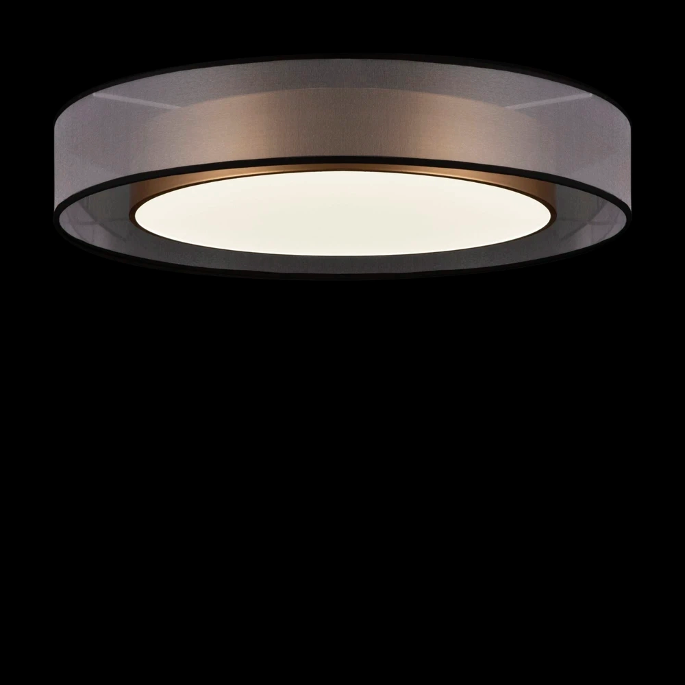 Потолочный светильник Freya ZOTICUS FR6005CL-L48G