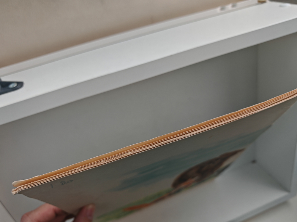 Голодный волк. Глупый медведь