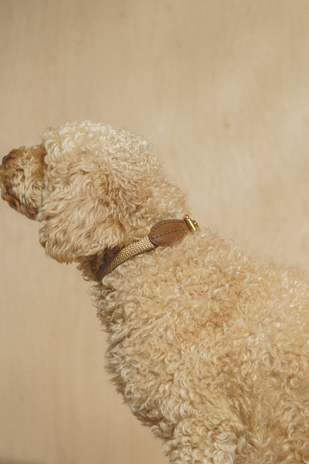 Ошейник "Пони-Макарони" Коричневый (бежевый канат)