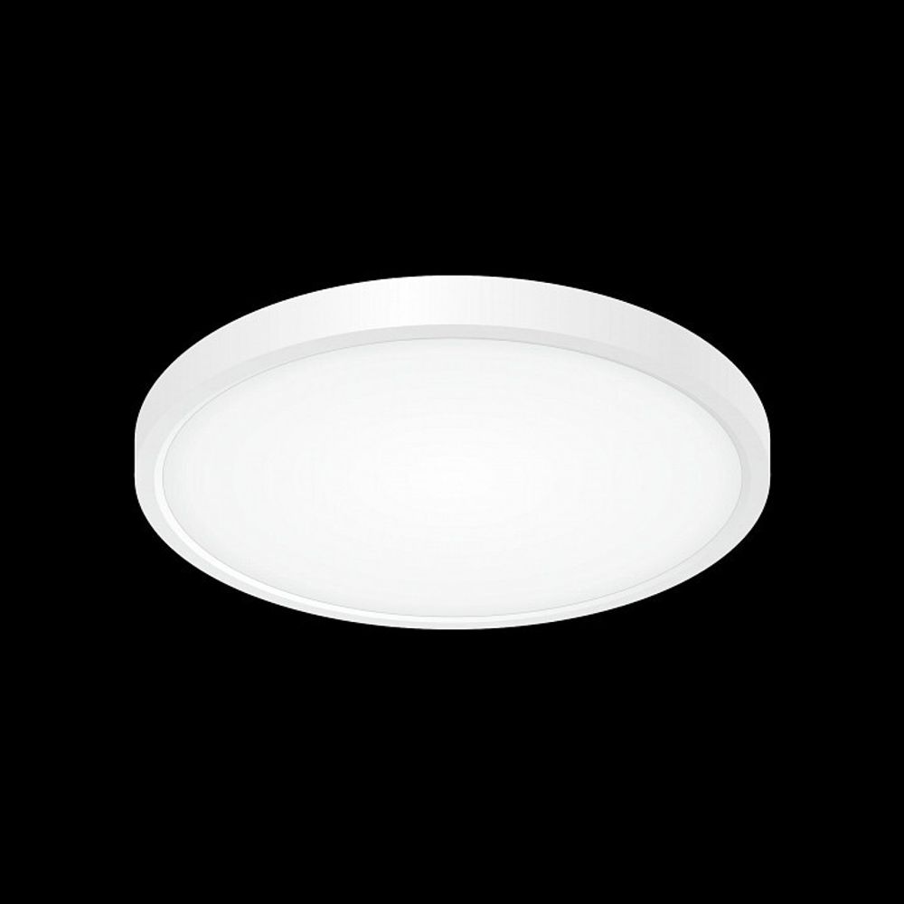 Накладной светильник Citilux Бейсик CL738240V