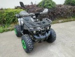 Электроквадроцикл Green Camel Атакама T520 (60V 1500W R8 Дифференциал)