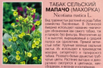 Табак Мапачо сельский F1 0,005 г СМЦ-323