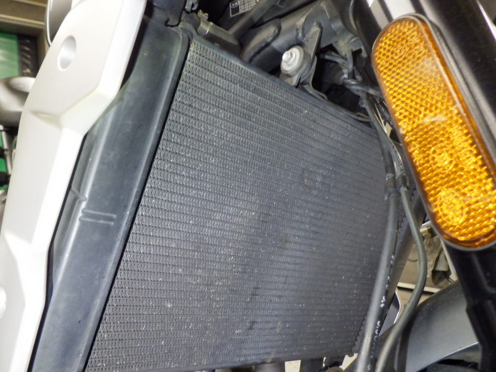 Triumph Trident 660 052942