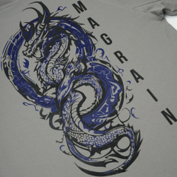 Футболка Реглан DRAGON