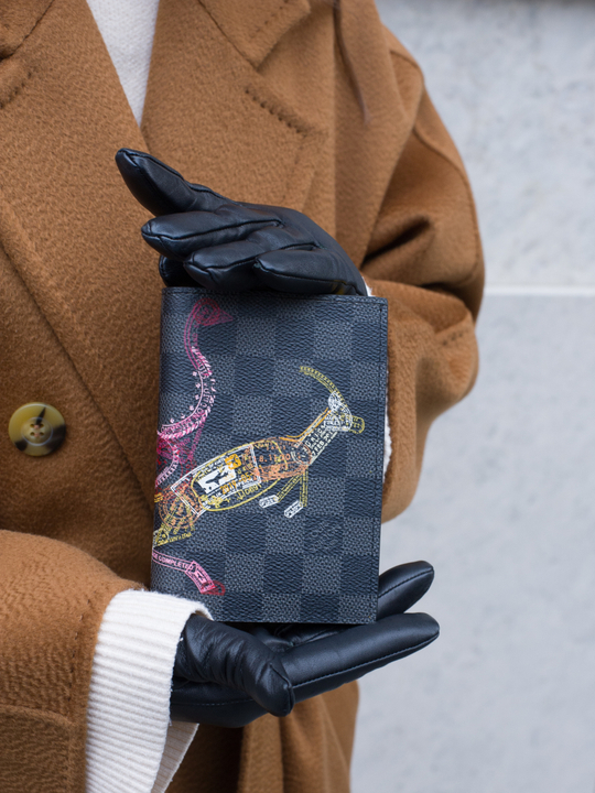 Обложка для паспорта