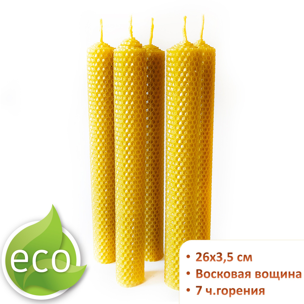 Свечи новогодние, Огненная лошадь, 26 см, 5 штук, цитрусы и хвоя