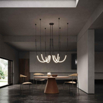 Pendant design lamp    (Black)Jabing
