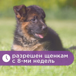 Раствор для инъекций для предотвращения рвоты различного генеза у кошек и собак Серения (Zoetis), 20мл Маропитант
