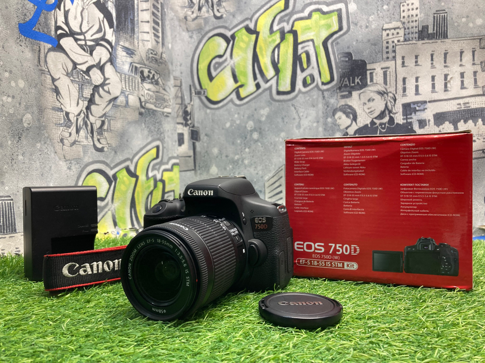 Canon 750D Kit 18-55mm IS STM 4.500 кадров