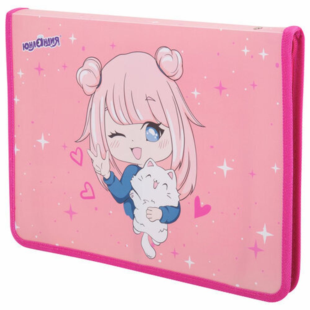 Папка для труда на молнии ЮНЛАНДИЯ А4, 1 отделение, откидная планка, органайзер, "Anime pals", 272222