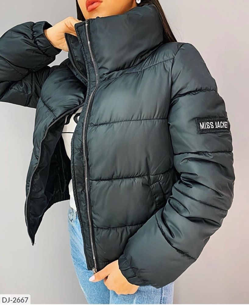 Куртка DJ-2667 Фабрика Моды