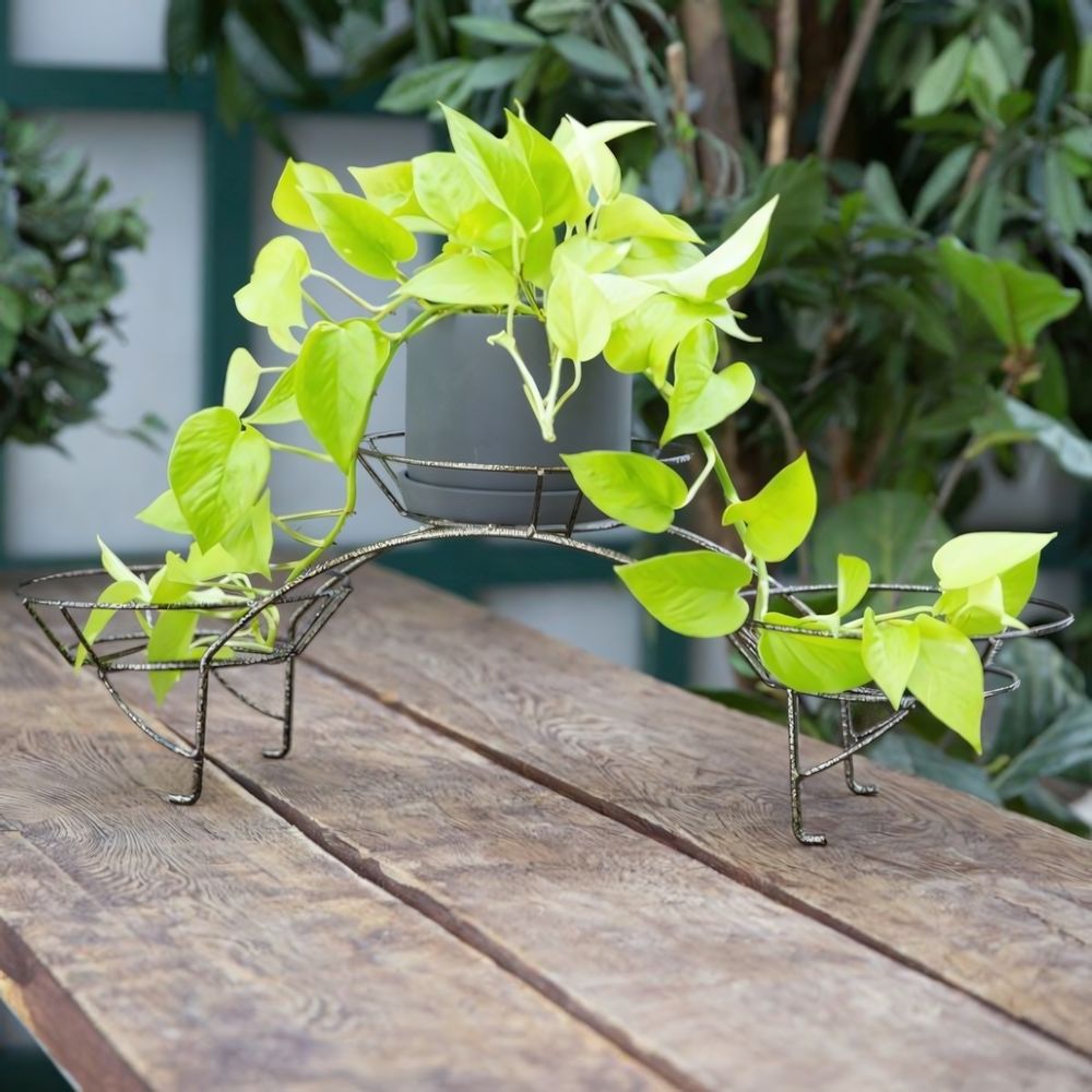 Подставка для цветов настольная "Дуга" на 3 горшка, металл М0000114