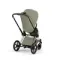 Детская коляска Cybex Priam V Style 2 в 1 Sage Green