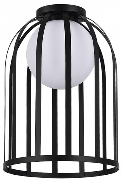 Накладной светильник ST-Luce Nordic SL6129.402.01