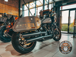 Новый мотоцикл Harley-Davidson® Low Rider® ST