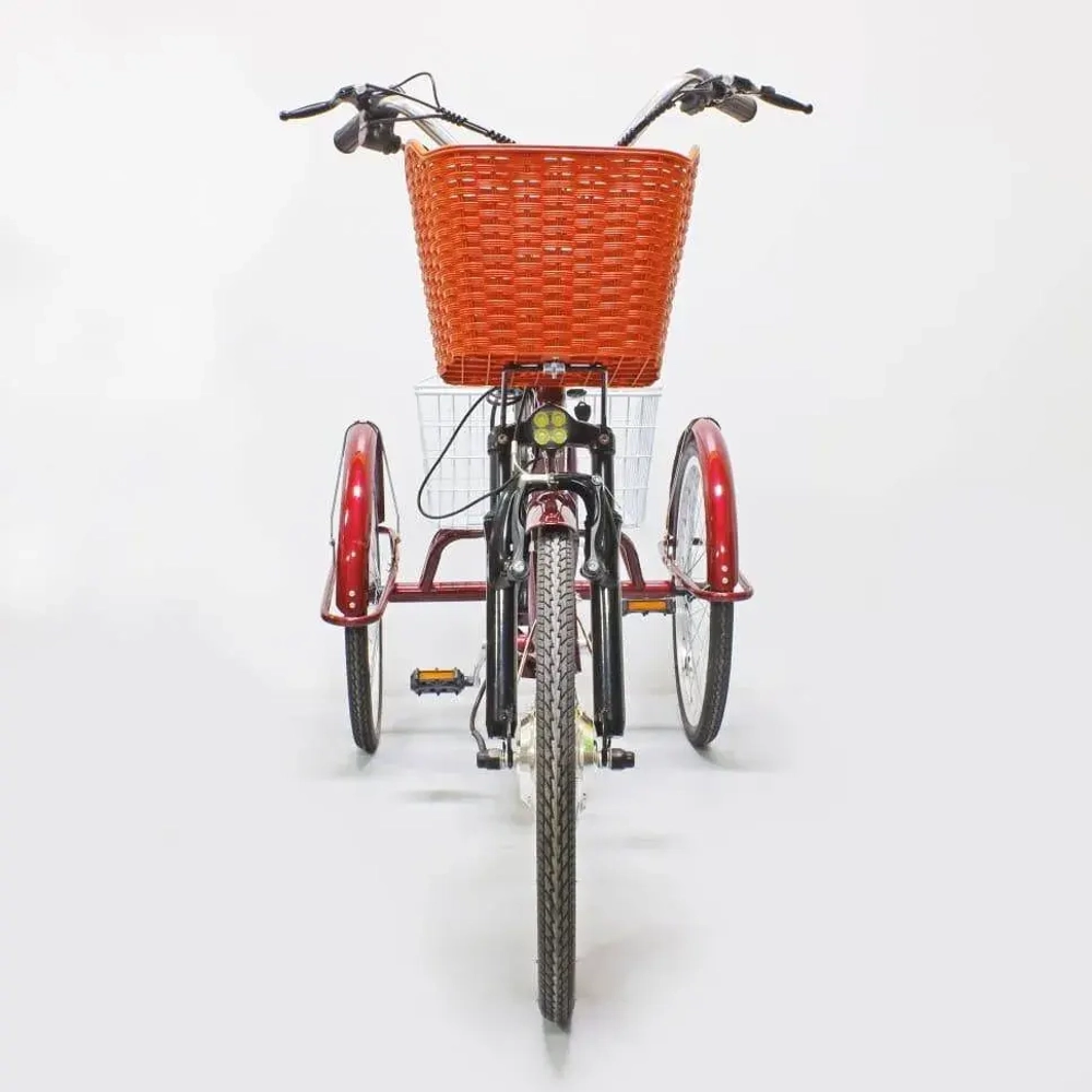Электровелосипед Green Camel Трайк-24
