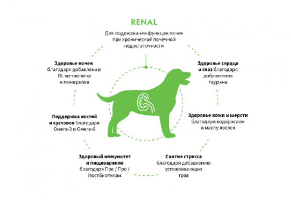 Сухой корм GRANDORF VETERINARY DIET Dog RENAL Полнорационный диетический корм для собак, для поддержания функций почек при ХБН, индейка 1кг