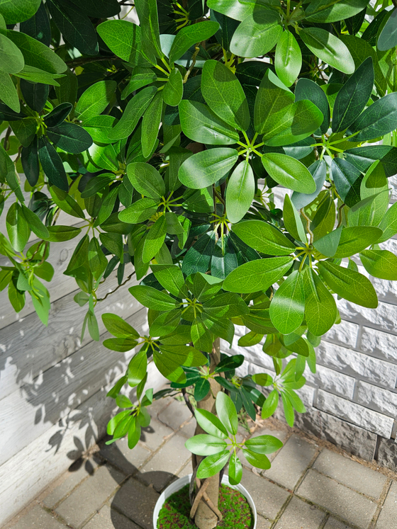 Искусственная Шеффлера 150см в кашпо