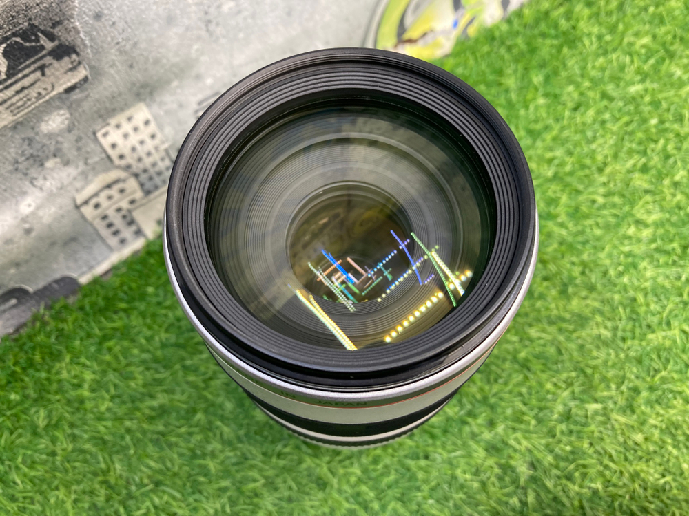 Canon EF 100-400mm 4.5-5.6L IS USM