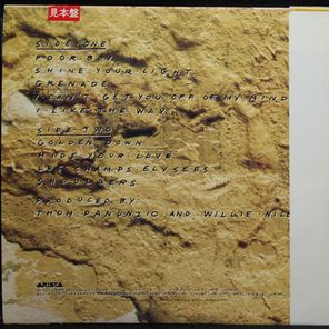 Willie Nile / Golden Down (LP)