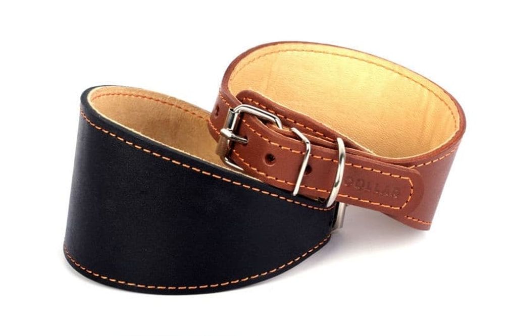 Ошейник "CoLLaR" для борзых (ширина 20 мм,длинна 29-35 см) коричневый 20096 Ошейник "CoLLaR" для борзых (ширина 20 мм,длинна 29-35 см) коричневый 20096