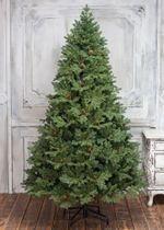 Ель с шишками «Чарующая» (Литая хвоя) от 1,8 м до 2,4 м