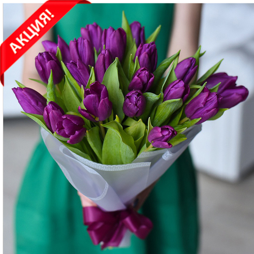 Купить Букет 21 пурпурный тюльпан