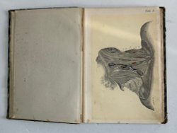 Пирогов Н. Атлас "Анатомия артериальных стволов и фиброзных фасций", 1837г. Дерпт, 54 л. цв. таб.